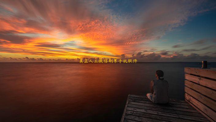 真正人工微信刷票手机软件