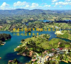 申请注册投票群微信微信扫二维码投票刷票