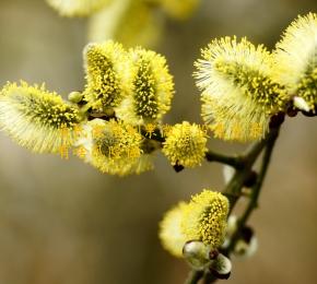 渔民微信刷票微信投票登录有啥风险性 