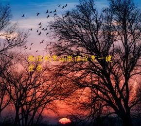 微信刷票api微信投票一键登录 