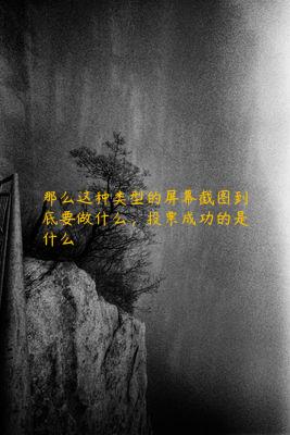 那么这种类型的屏幕截图到底要做什么，投票成功的是什么