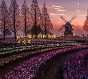 python微信刷投票编码【千牛投票】 