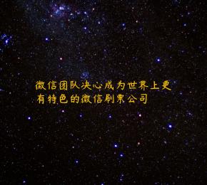 微信团队决心成为世界上更有特色的微信刷票公司