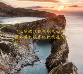 “秘密微信投票刷票公司”用计算机投票比较快速的大师！