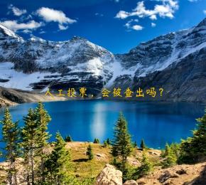 人工投票，会被查出吗？