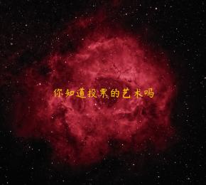 你知道投票的艺术吗