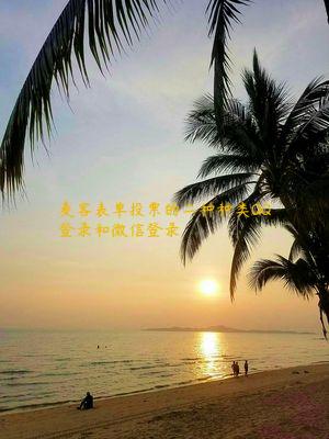 麦客表单投票的二种种类QQ登录和微信登录