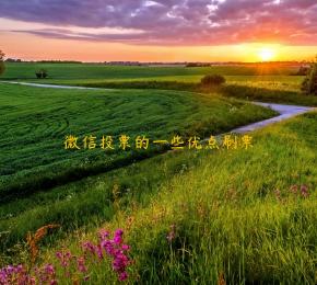 微信投票的一些优点刷票