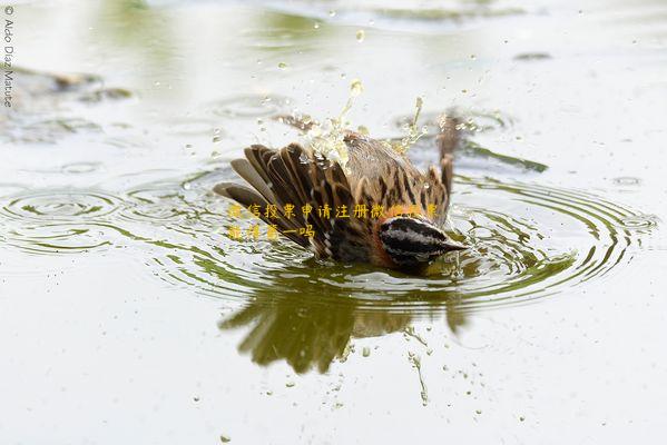 微信投票申请注册微信投票能得第一吗 