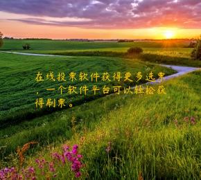 在线投票软件获得更多选票，一个软件平台可以轻松获得刷票。