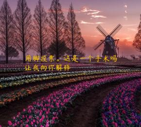 用脚投票。这是一个手术吗让我向你解释