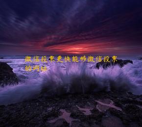 微信投票更快能够微信投票的网址 