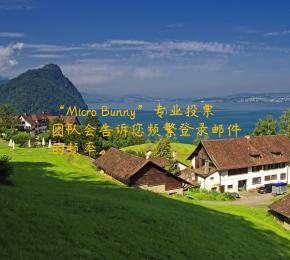 “Micro Bunny”专业投票团队会告诉您频繁登录邮件的频率。