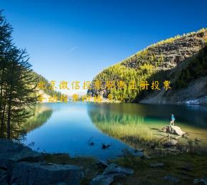 北京微信投票刷票注册投票手动投票价格多少