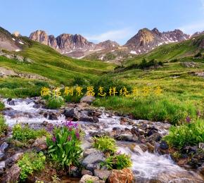 微信刷票器怎样绕开登录