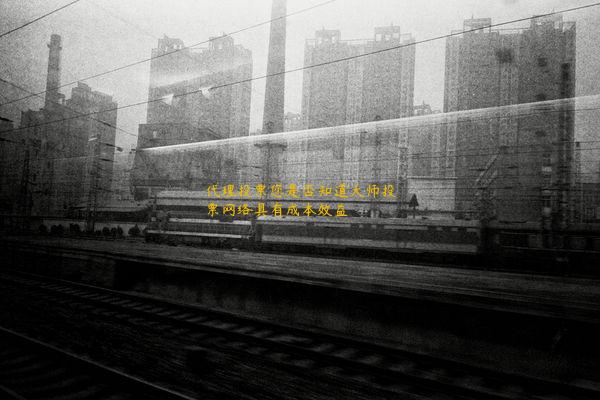 代理投票您是否知道大师投票网络具有成本效益