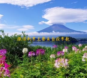 微信刷票主要来自投票数