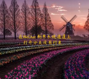 在WeChat 刷票系统通道上，打开分支没有约束