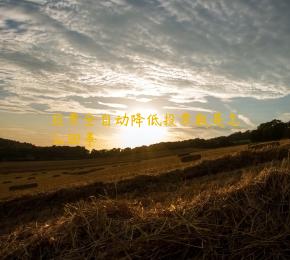 投票全自动降低投票数是怎么回事