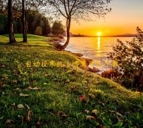 自动投票机|哪里可以下载