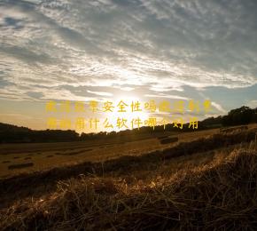 微信投票安全性吗微信刷票用的用什么软件哪个好用