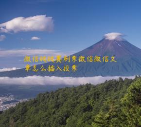微信爬爬赛刷票微信微信文章怎么插入投票