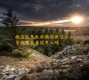 微信投票几回微信微信公众号投票能看投票人吗 