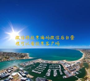 微信群投票编码微信后台管理可以看投票客户吗