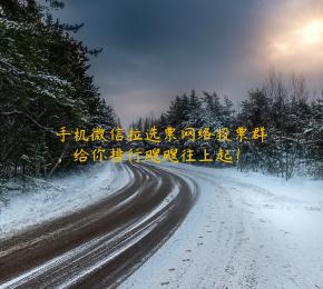 手机微信拉选票网络投票群，给你排行飕飕往上起！ 