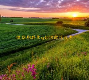 微信刷群票qq如何微信投票 