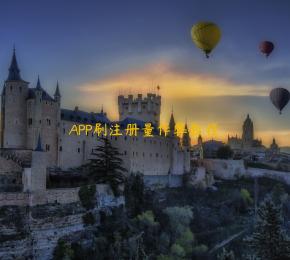 APP刷注册量作弊教程