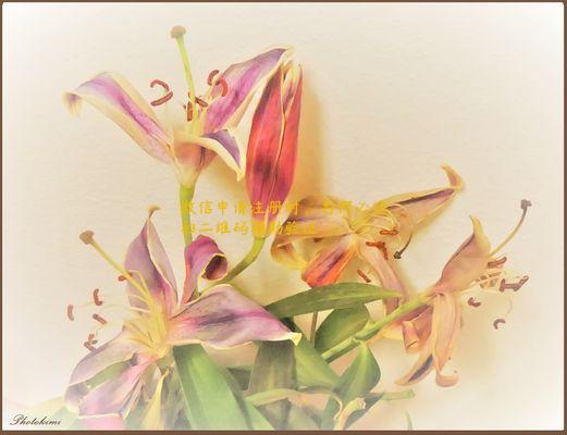 微信申请注册时，为何必须扫二维码辅助验证