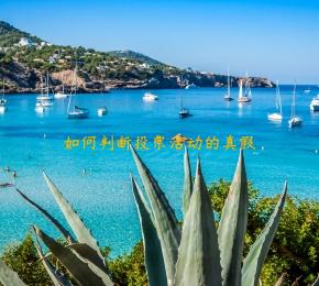 如何判断投票活动的真假