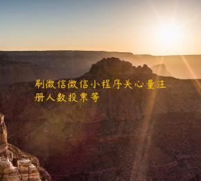 刷微信微信小程序关心量注册人数投票等