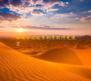 谁是手动投票刷票软件更便宜